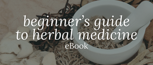 Beginner's Guide to Herbal Medicine