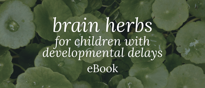 Brain Herbs for Children with Developmental Delays eBook