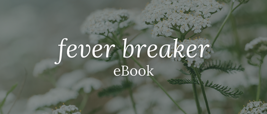 Fever Breaker eBook