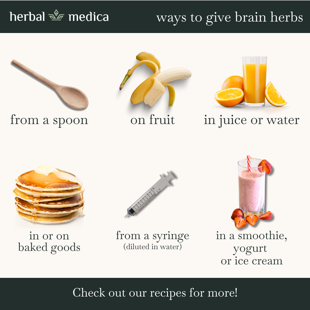 Brain Herbs