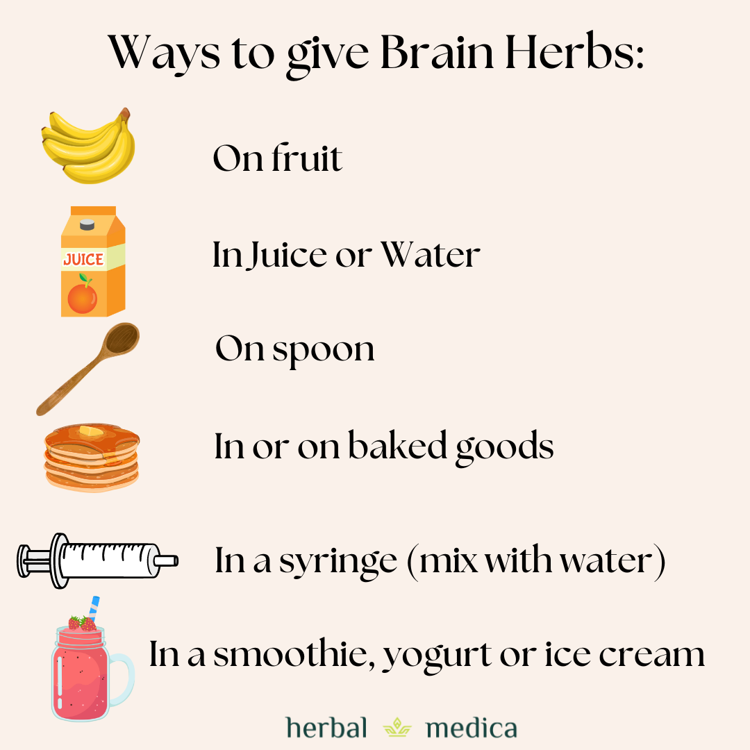 Brain Herbs